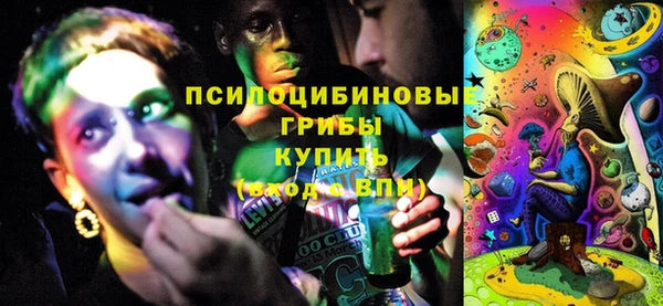 прущая мука Арсеньев