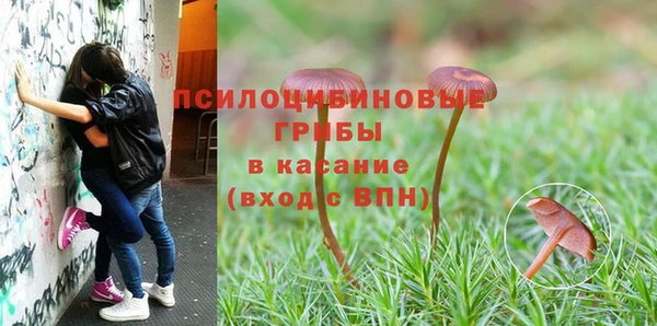 соль курить ск Аркадак