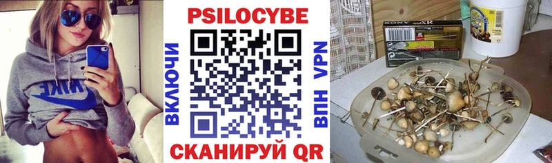 Псилоцибиновые грибы Psilocybine cubensis Крым